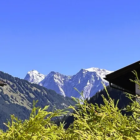 Zugspitzblick *